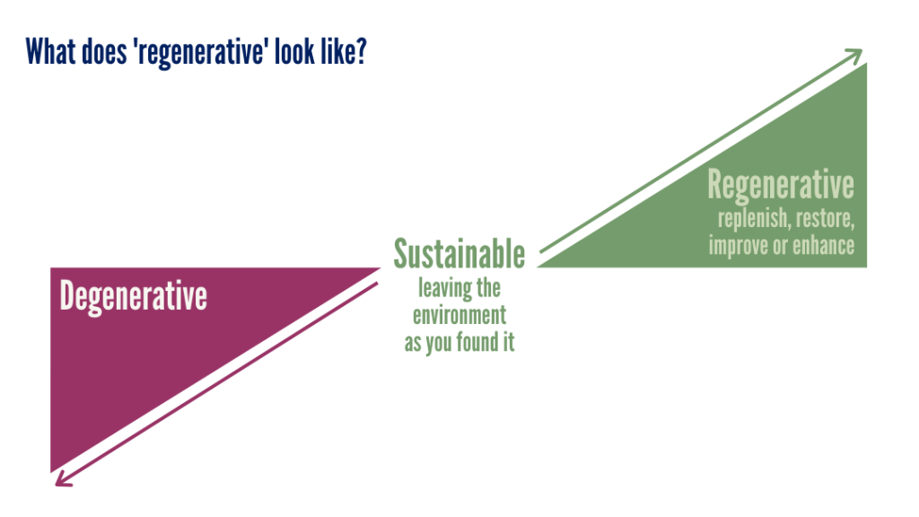 ../assets/sustainble-vs-regenerative.webp